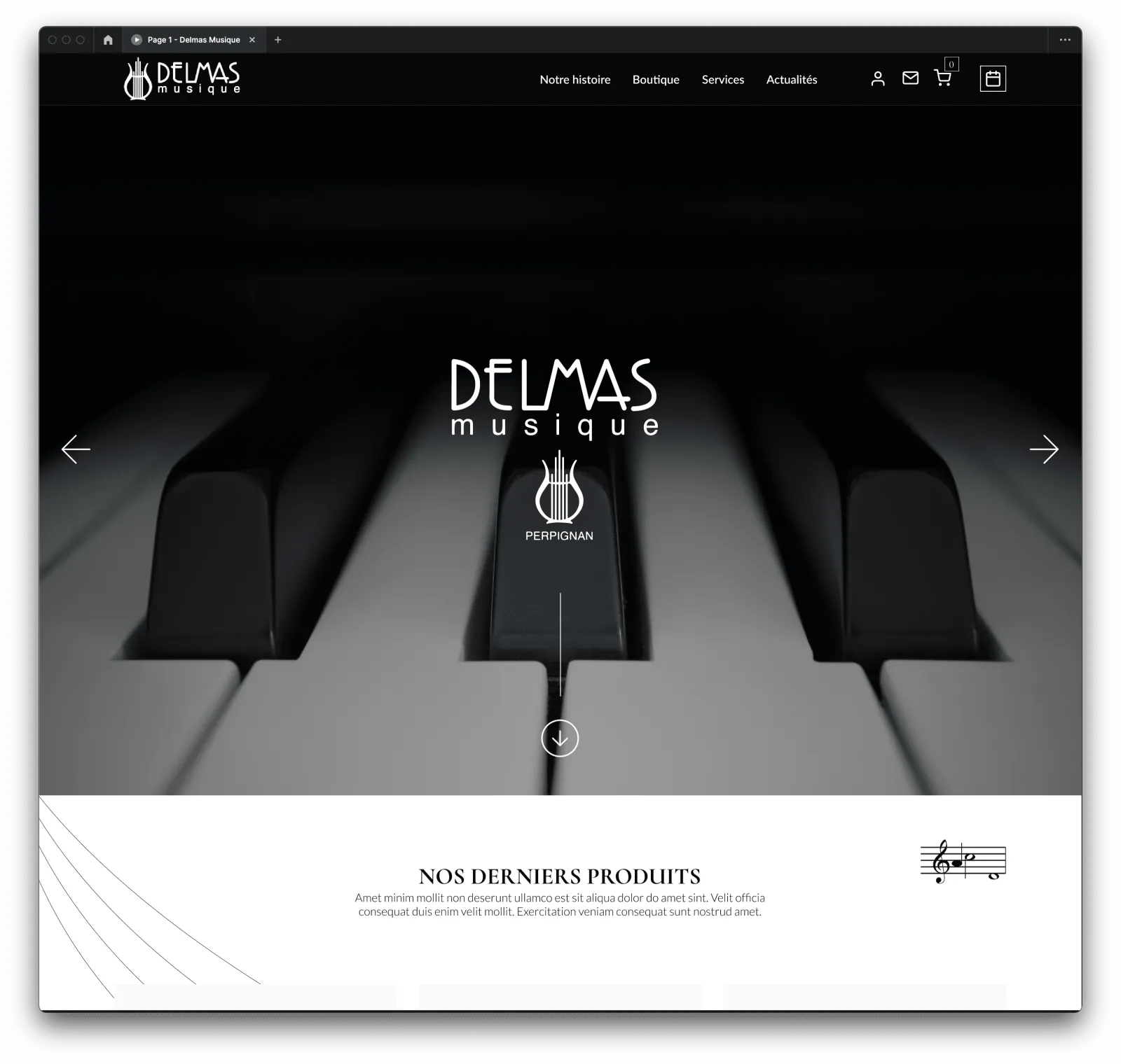 Capture du projet Delmas Musique : capture 2