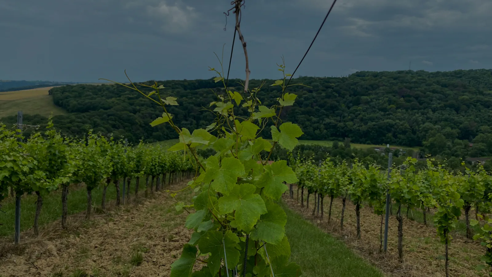 Capture du projet Domaine Boudau : accueil